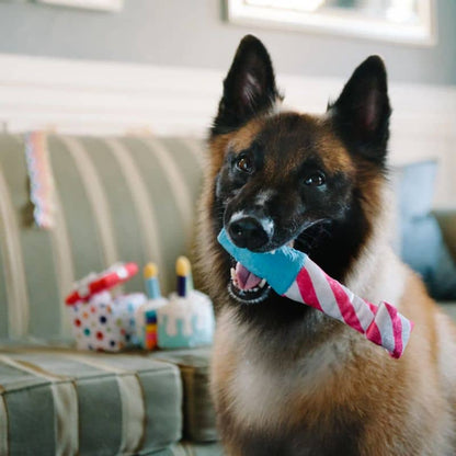 Giocattolo interattivo per cani -peluche ecologiche con un incubatore madre -in -law