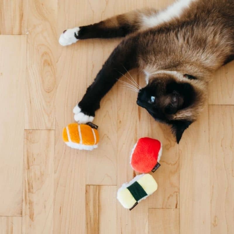 Ecological toy for cats at catnip - Set of sushi slugs sensory stimulars