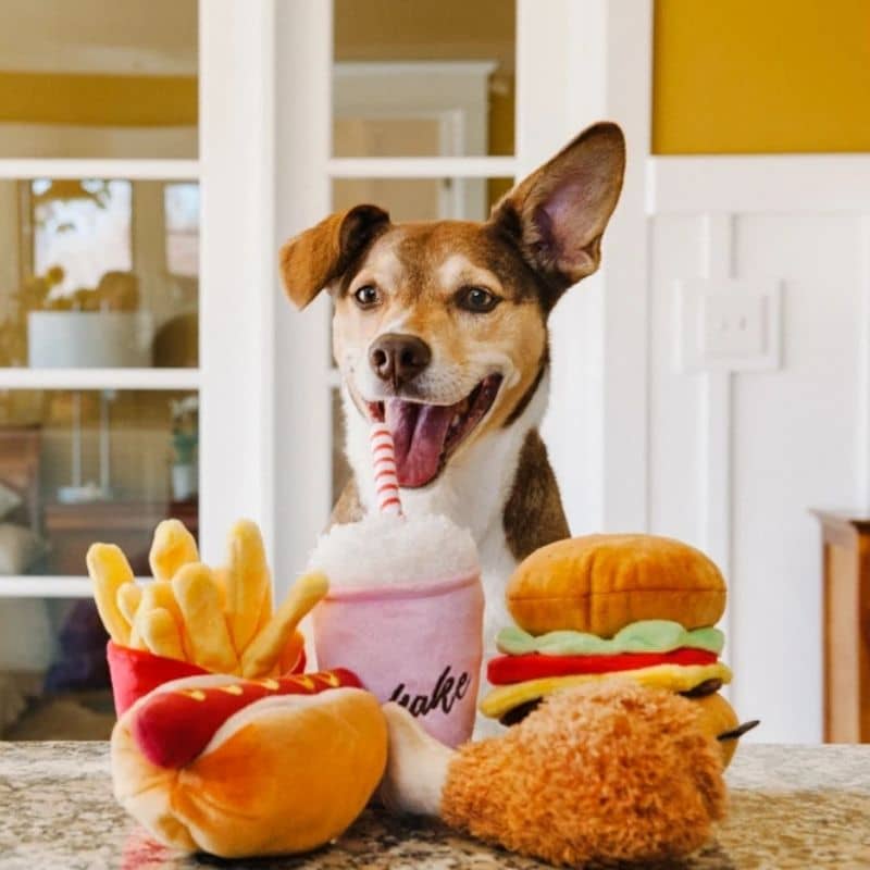 Eco -designed dog toy for dog - fried chicken intelligence stimulator