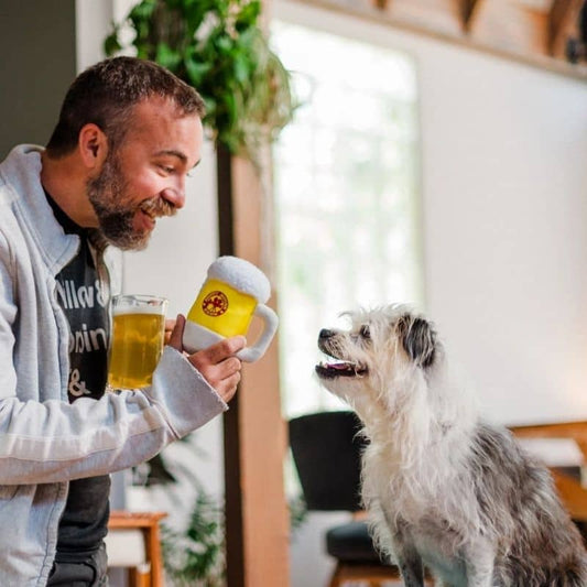 Dog plush - Beer mug 🍺