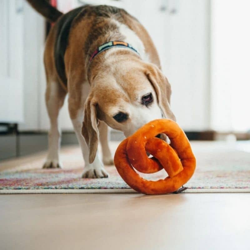 Eco -responsible dog toy in the shape of a Bretzel with Couineurs - P.L.A.Y.