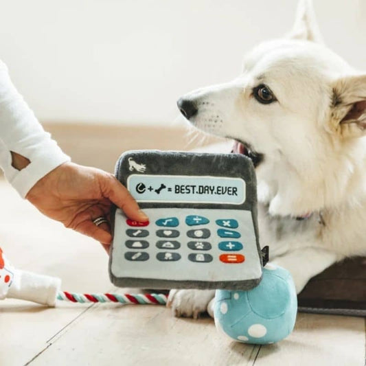 Dog educational toy - Eco -responsible calculator plush