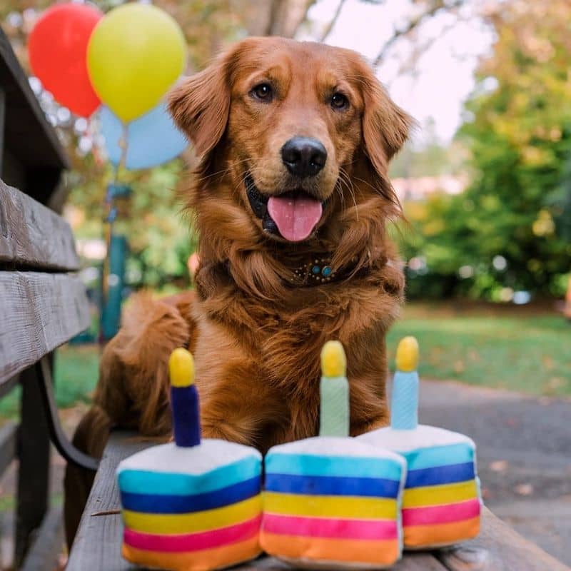 Куче играчка за рожден ден - Плюша за торта 🎂 (Предлага се в 2 размера)