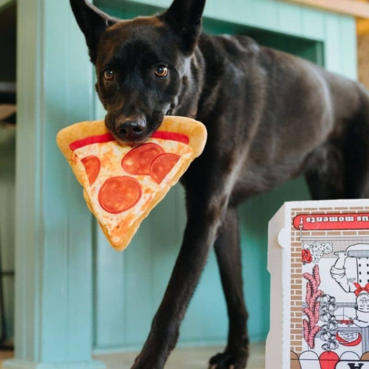 Dog Plush Toy - Parte di Pizza P.L.A.Y. Eco-friendly