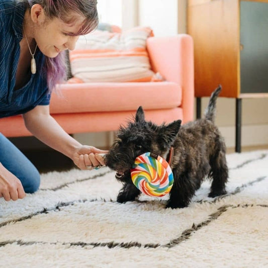 Dog Toy per cani a forma di cane - stimola l'intelligenza del tuo animale domestico