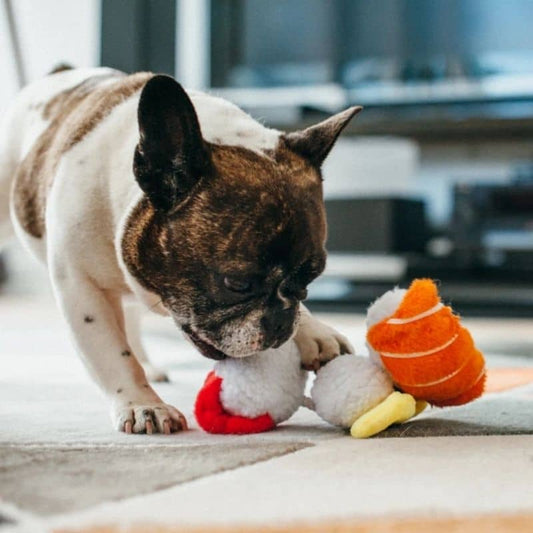 Dog eco -responsible toy - Sushi plush with Couineurs 🍣