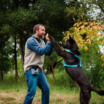 SACOCHE D'ENTRAÎNEMENT CHIEN NOIR ET GRIS - MULTIFONCTION AVEC COUINEMENT ET BANDES RÉFLÉCHISSANTES