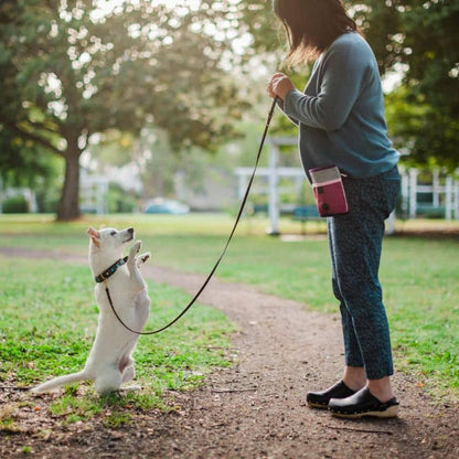 Borsa multifunzionale per l'educazione canina - viola e grigio