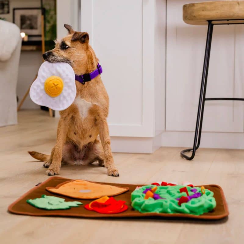 Gioco di occupazione, tappeto di scavo per cani - brunch