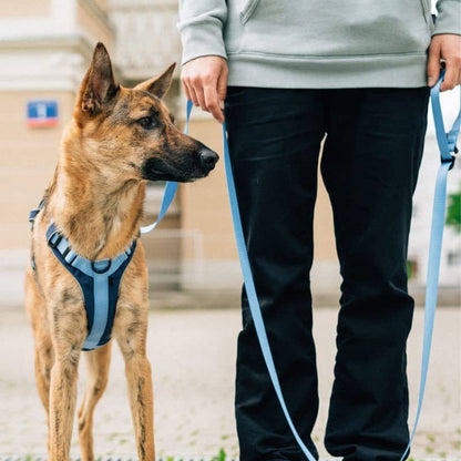 Imbracatura ad alta visibilità con manico del cane - Blue Neon & Navy