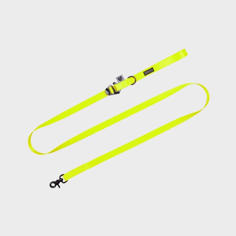 Longe for Dog 5 metri - Neon giallo