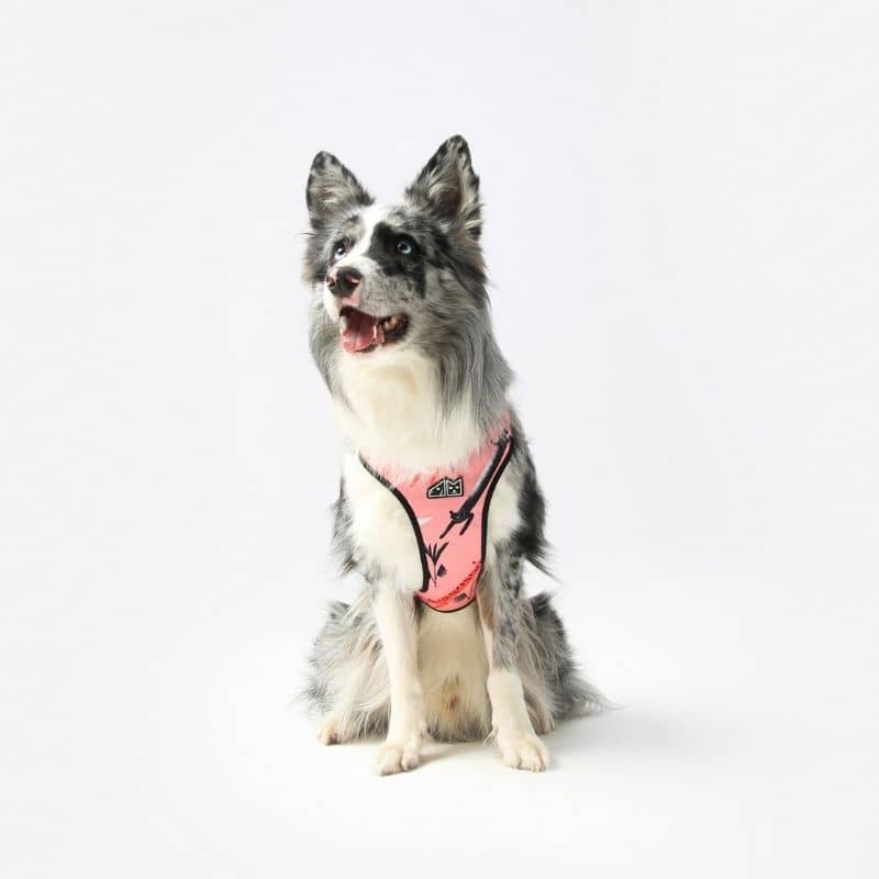 Waterproof and adjustable dog harness - Pink panther design by psychaciele