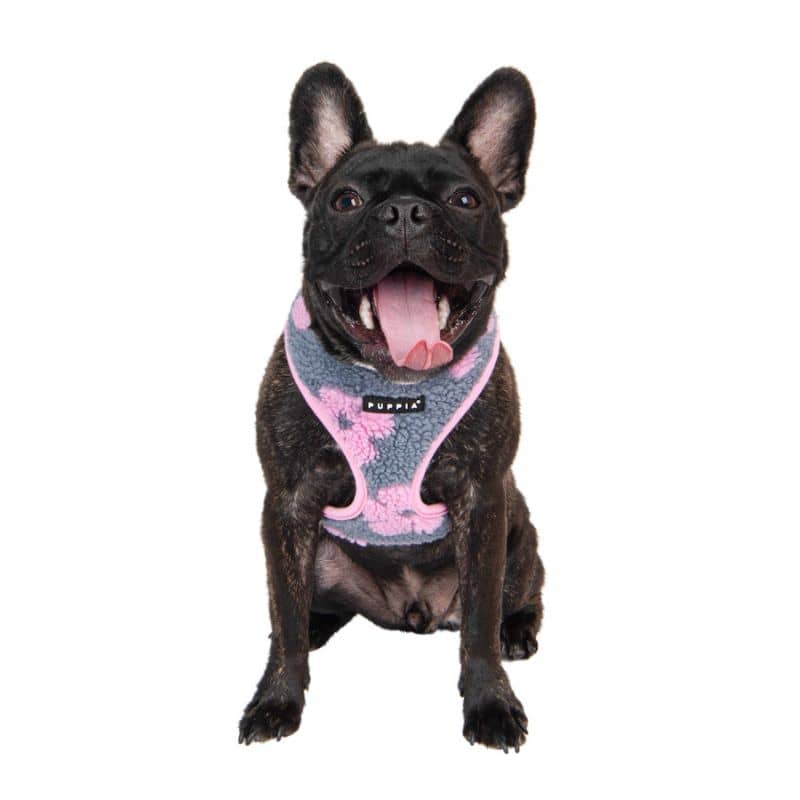 Adjustable harness for Moumoute dog - Print flowers pink & gray 🌸