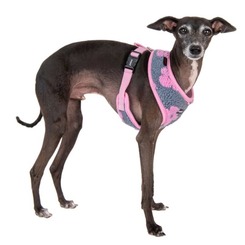 Adjustable harness for Moumoute dog - Print flowers pink & gray 🌸