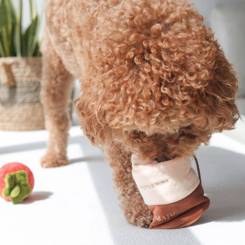 Occupation and excavation toy for dogs - tomato soup 🍅