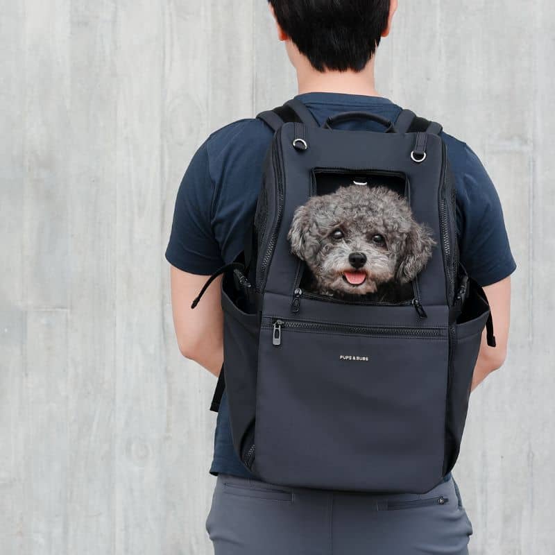 Pet Transport Back Bag <10 kg - elegant en functioneel ontwerp - zwart