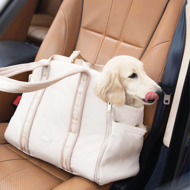 Converteerbare en opvouwbare transporttas voor honden - Sand Beige