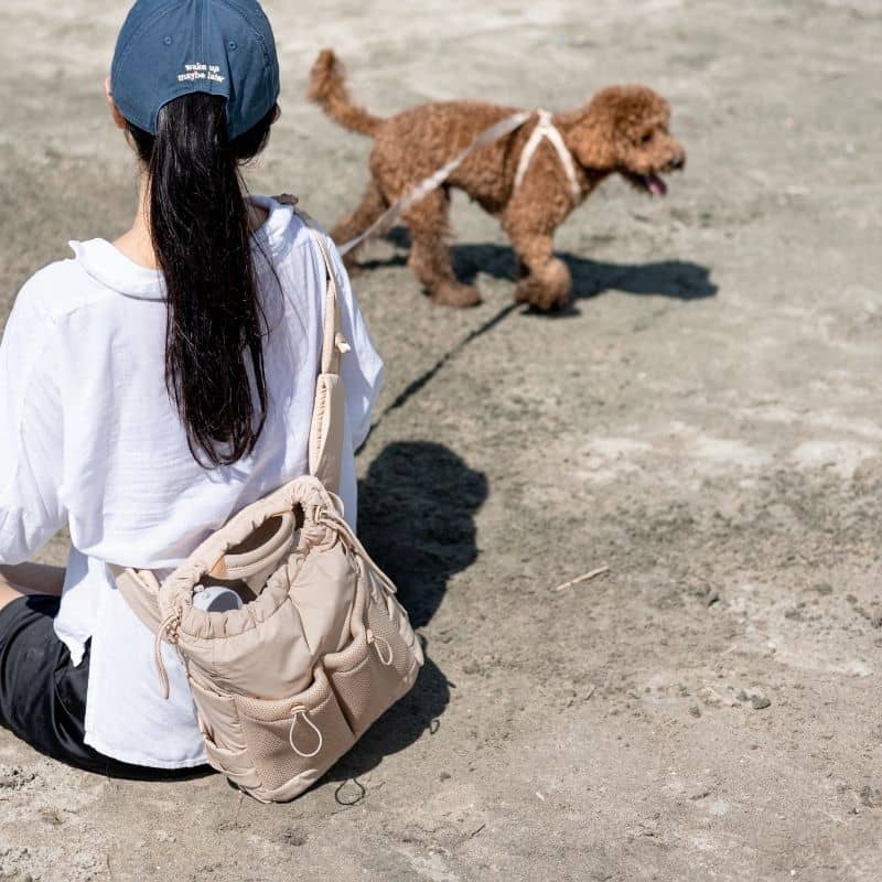 Sac de Promenade Multifonction avec Nombreux Rangements - Beige Latte