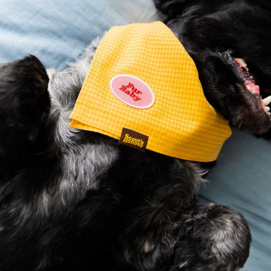 Termocollant Patch "Fur Baby" per la personalizzazione degli accessori per animali