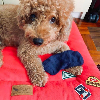 Patch personalizzabile "ladro di calzini" per i cani