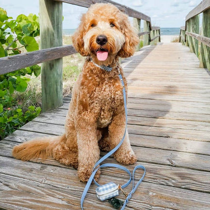 Collar impermeabile per cane - Vichy Blue by Shop Sunny Tails