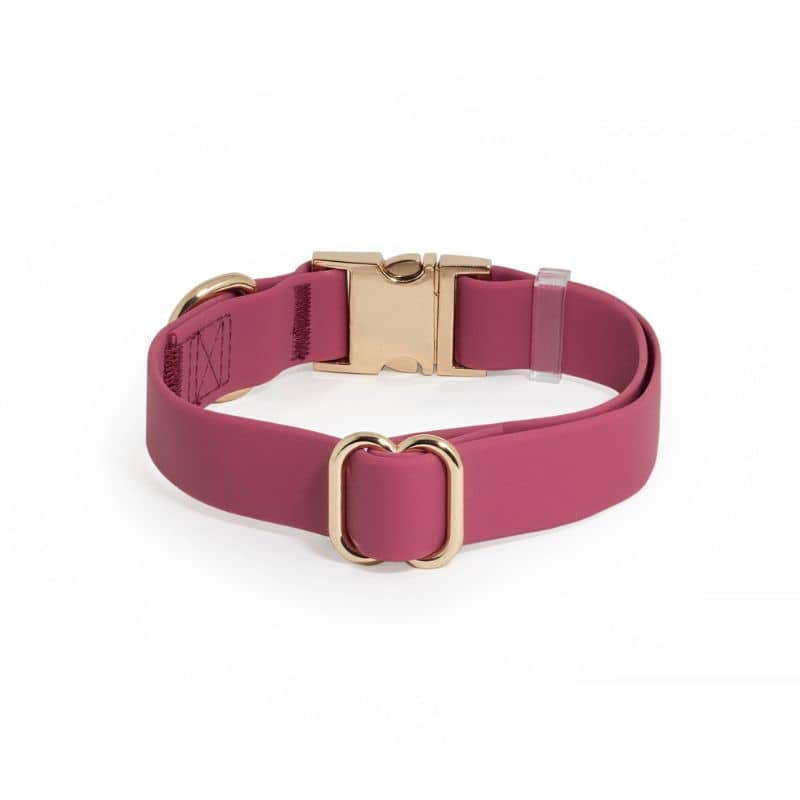 COLLIER POUR CHIEN WATERPROOF - FRAMBOISE