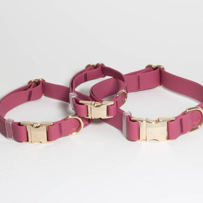 COLLIER POUR CHIEN WATERPROOF - FRAMBOISE