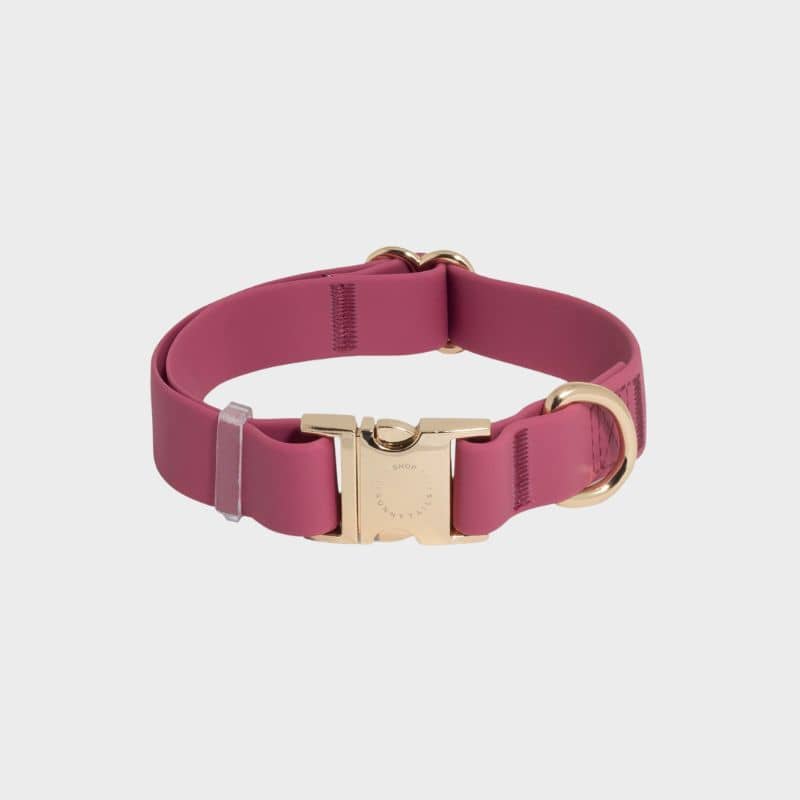 COLLIER POUR CHIEN WATERPROOF - FRAMBOISE