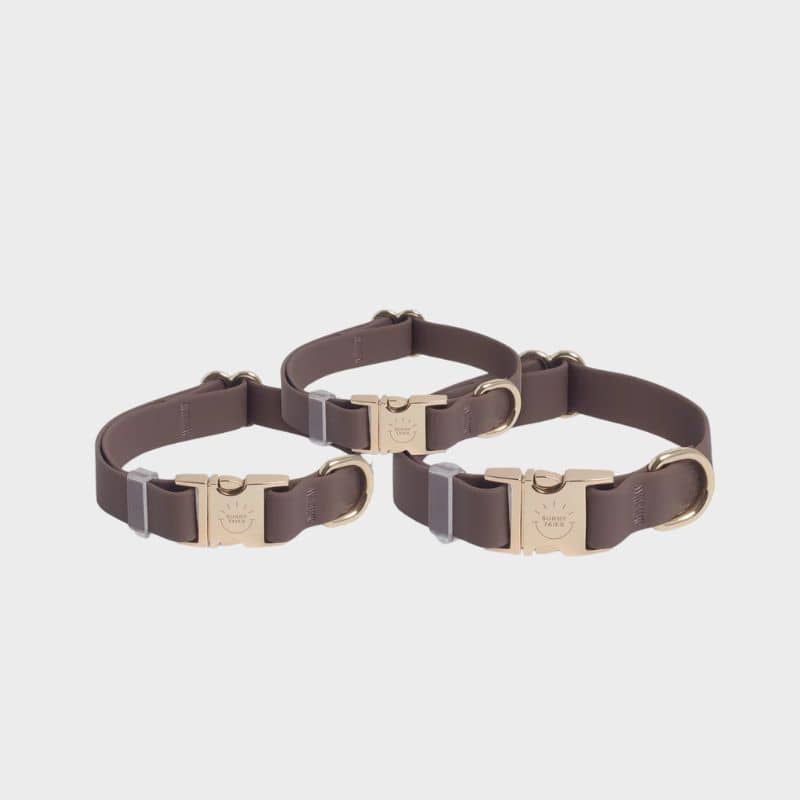 Vattentät hundhalsband - Espresso Brown