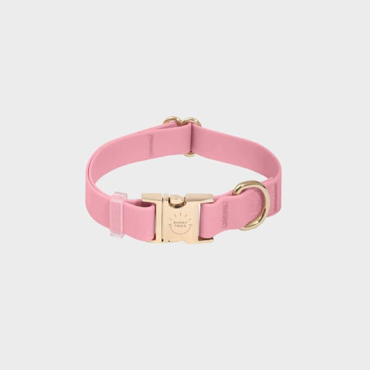 Collier pour Chien Imperméable "Perfect Pink"