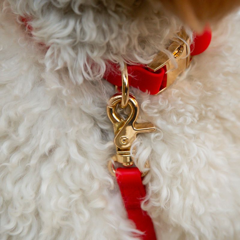 Waterproof dog necklace - Cherry red