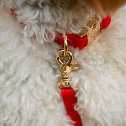 Waterproof dog necklace - Cherry red