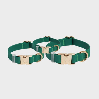 Collar impermeabile per i cani Shop Sunny Tails - Green di prato