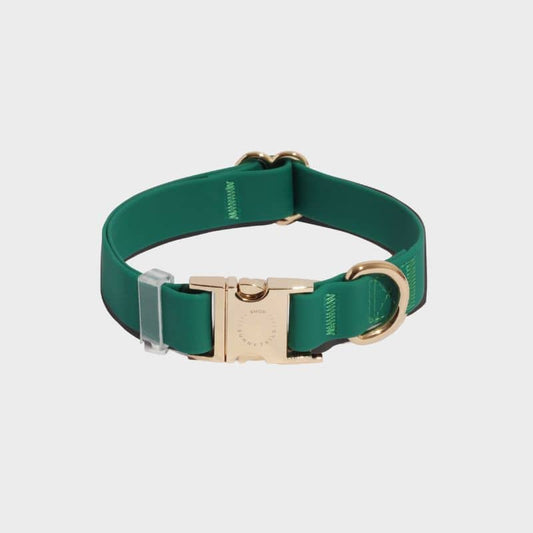 Collar impermeabile per i cani Shop Sunny Tails - Green di prato