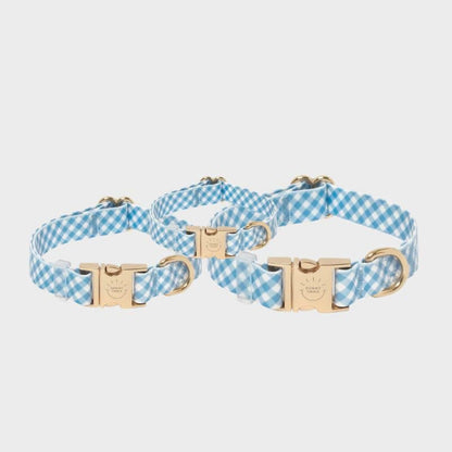 Collar impermeabile per cane - Vichy Blue by Shop Sunny Tails