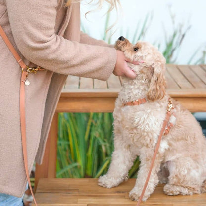 Vattentät hundsele i Brown Chai - Shop Sunny Tails