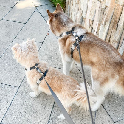 Vattentät hundsele - svart, lätt och justerbar