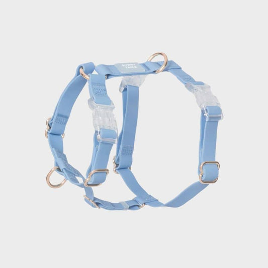 Vattentät hundsele - Sky Blue - Resistant and Easy To Sight On