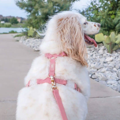 Harnais Waterproof pour Chien Cloud Lite "Perfect Pink"