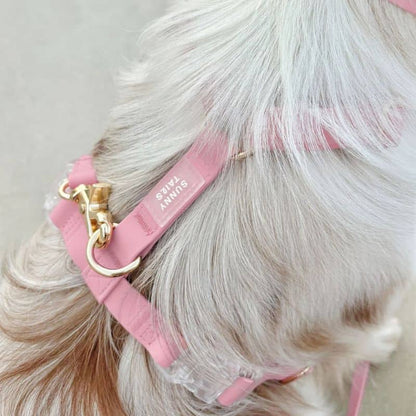 Harnais Waterproof pour Chien Cloud Lite "Perfect Pink"