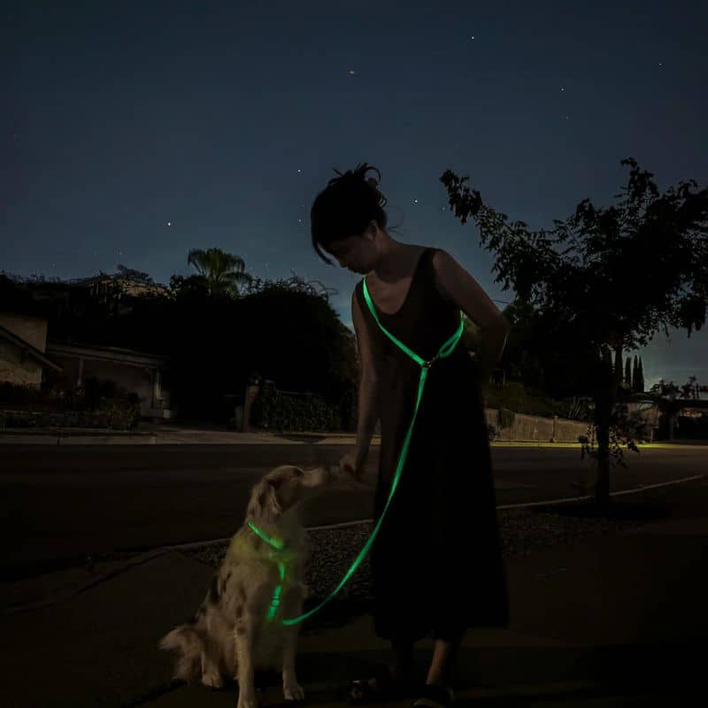 Leave for multi -pospective dogs 4 in 1 waterproof convertible - phosphorescent lunar glow