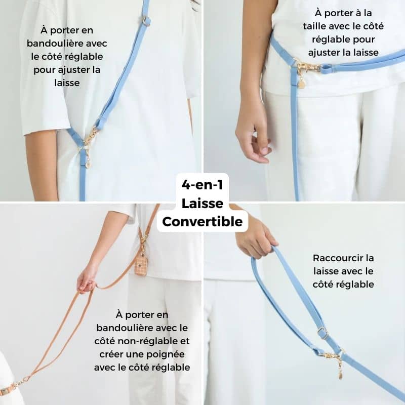 Multiposizioni 4 in 1 impermeabile per cani - Malibu Sky Blue di Sunny Tails Shop