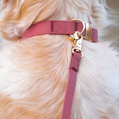 Forma per cani multiposizioni impermeabili 4 in 1 convertibile - colore di lampone