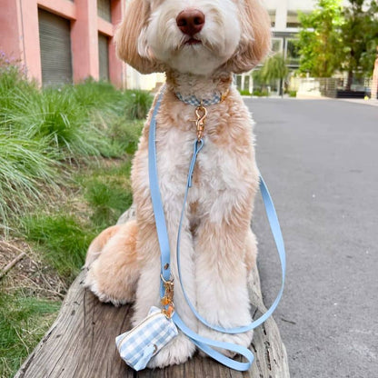 Side blu impermeabile per cani guinzaglio - eleganza e perfetta praticità per il tuo animale domestico