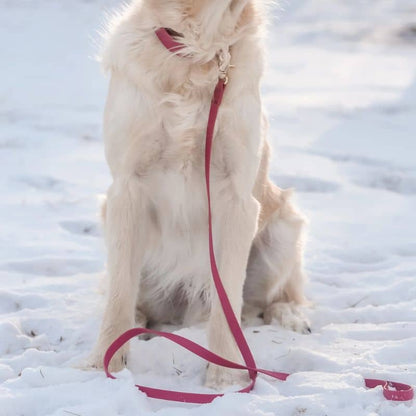 Cane impermeabile al guinzaglio - lampone