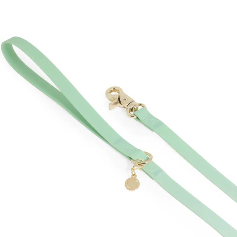 Cane impermeabile al guinzaglio in verde pistacchio - Eleganza e resistenza di Shop Sunny Tails