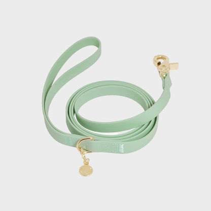 Cane impermeabile al guinzaglio in verde pistacchio - Eleganza e resistenza di Shop Sunny Tails