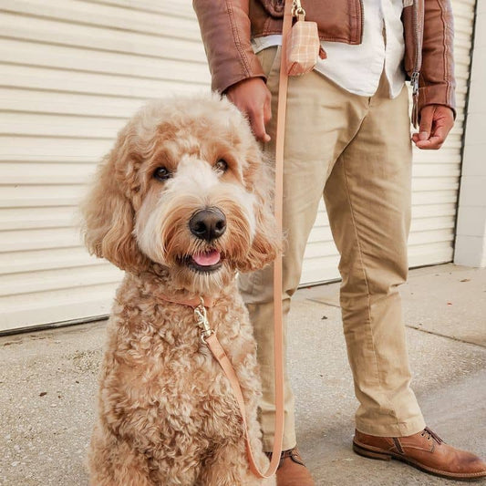 Cane impermeabile al guinzaglio - Chai Brown