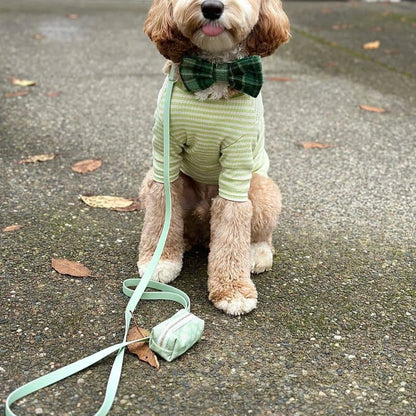 Cane impermeabile al guinzaglio in verde pistacchio - Eleganza e resistenza di Shop Sunny Tails