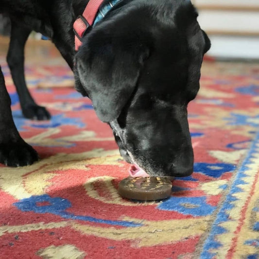 Resistant toy for chewing dogs and licking in the shape of a peanut - anti -stress and entertainment by sodapup